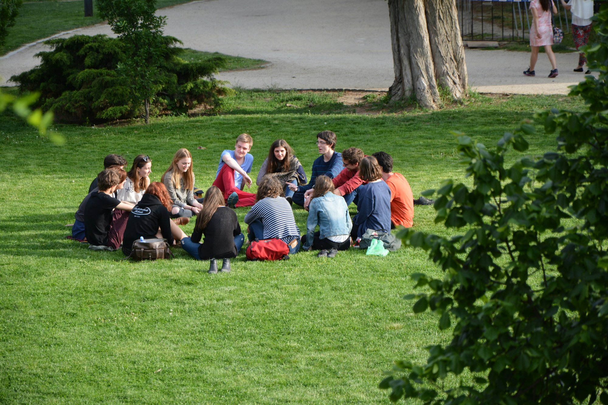 Mental Health Services at NAI